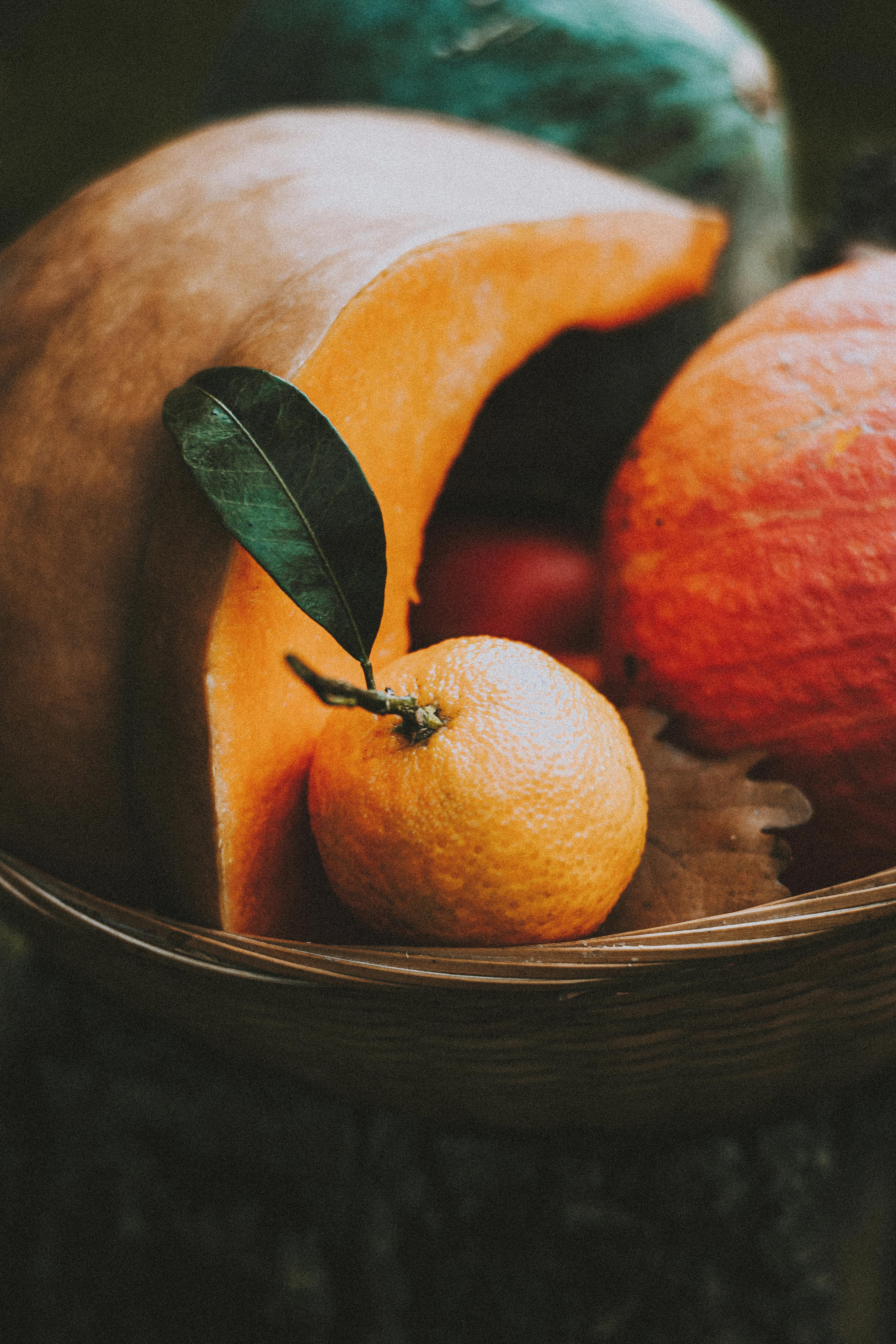 🌰Fruits & légumes d&rsquo;automne